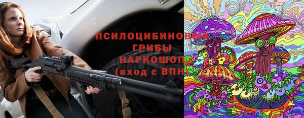 меф Арсеньев