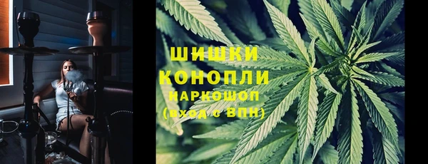 дурь Билибино