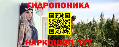 спайс Гагарин