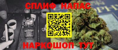 ECSTASY Гатчина