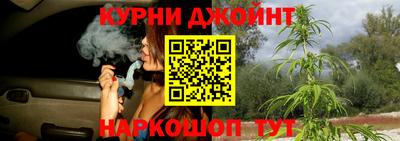 шишки Гай