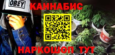 шишки Гай