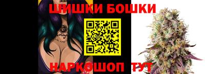 ECSTASY Гатчина
