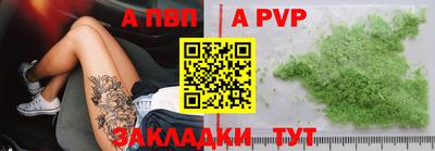 шишки Гай
