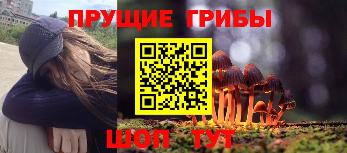 где купить наркоту  Вход с VPN  Джанкой  Галлюциногенные грибы прущие грибы 